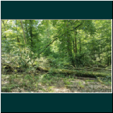 WhatsApp Image 2024-06-11 at 09.47.43(1).jpg